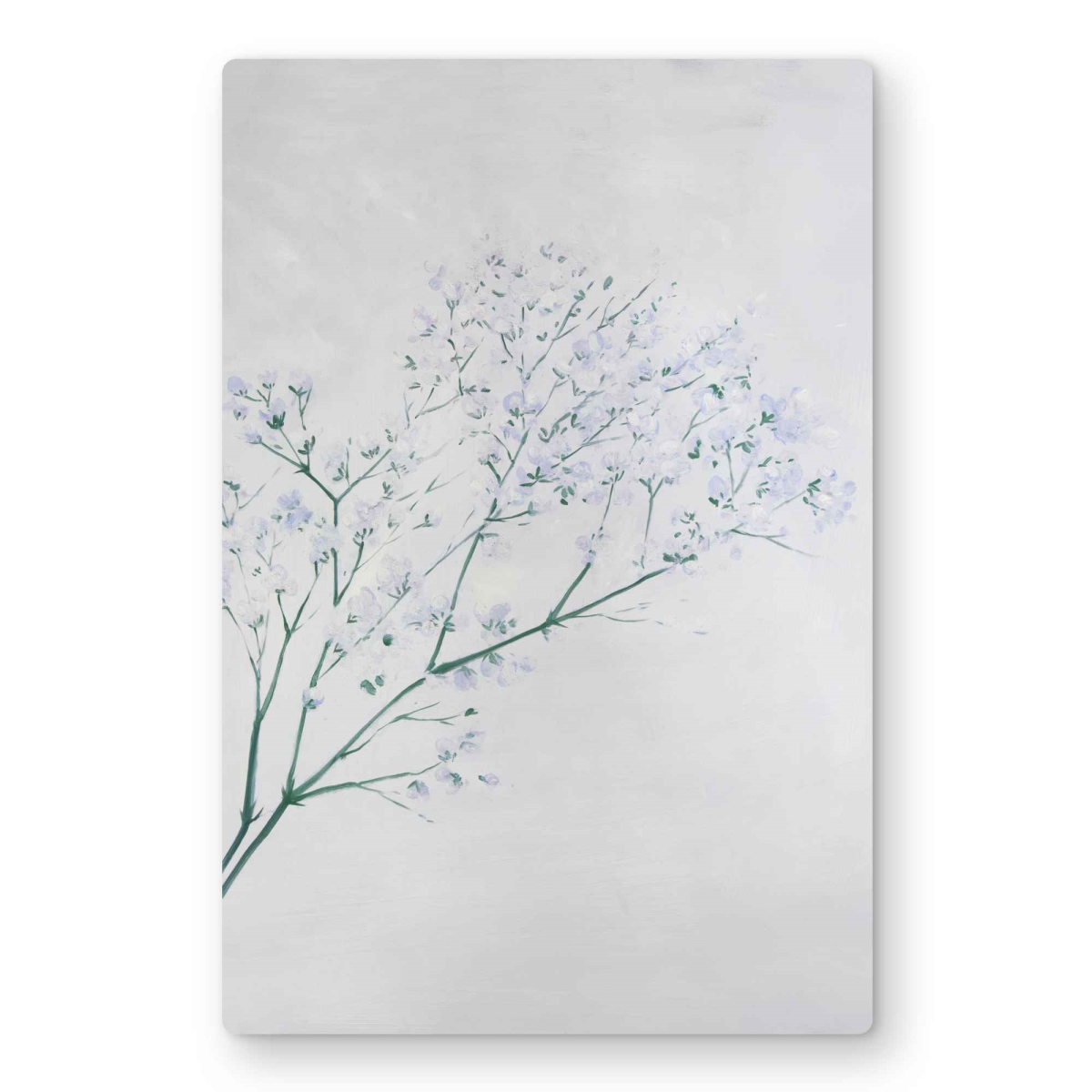 C1MP12180OSP2Z 12 x 18 in. Bouquet of Flowers Baby Breath Wall Art - Livingroom Metal Print