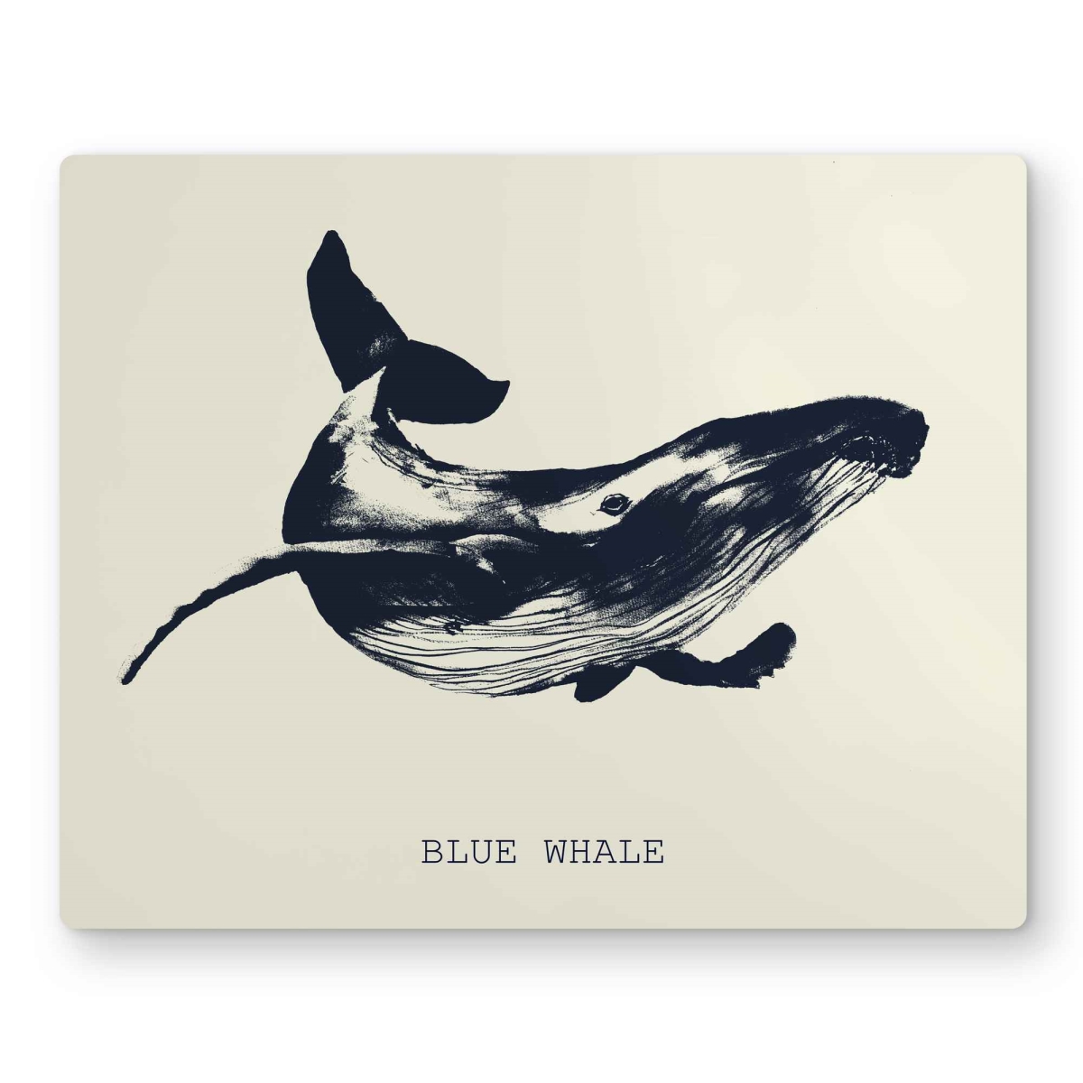 C1MP1620K0JKV1 16 x 20 in. Blue Whale Sketch - Blue Metal Print Wall Art for Home Decor