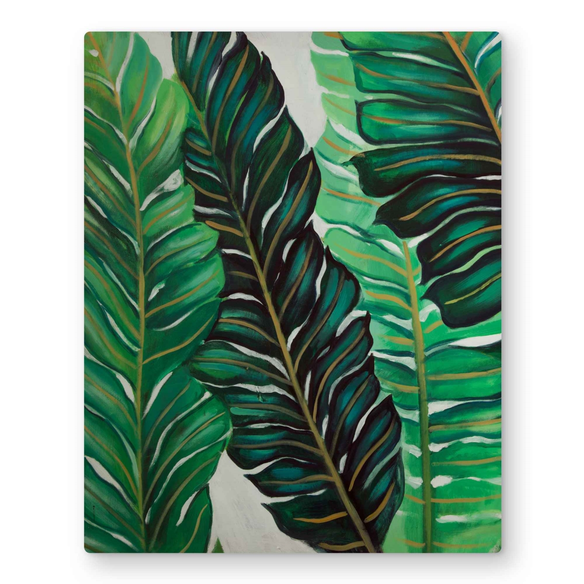 C1MP1620GPK8HU 16 x 20 in. Several Exotic Plant Leaves - Botanical Metal Print Wall Art - Decor