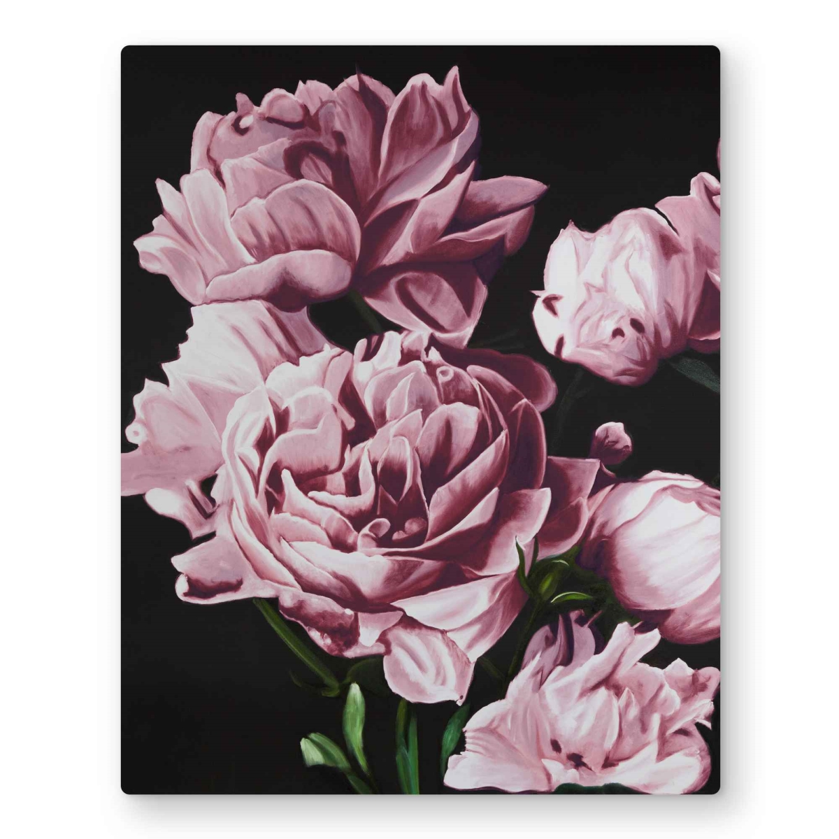 C1MP1620NA6WU2 16 x 20 in. Pink Peonies - Metal Print Wall Art for Living Room Home Decor