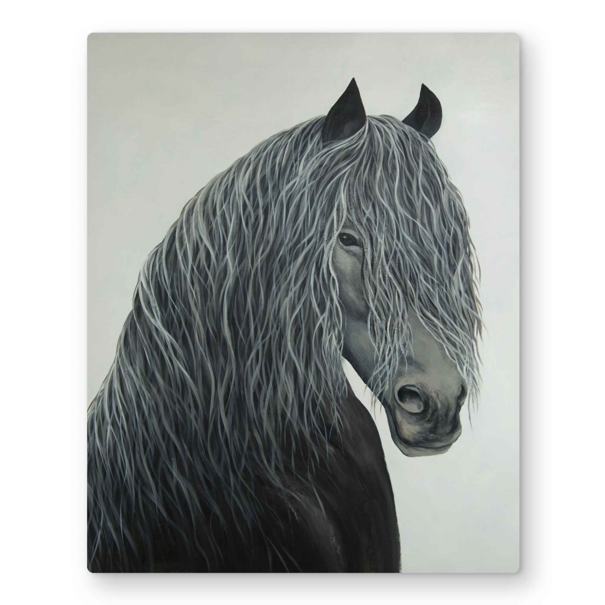 C1MP1620WOQZJO 16 x 20 in. Wild Heart Horse - Metal Print Wall Art for Home Decor - Horse Office