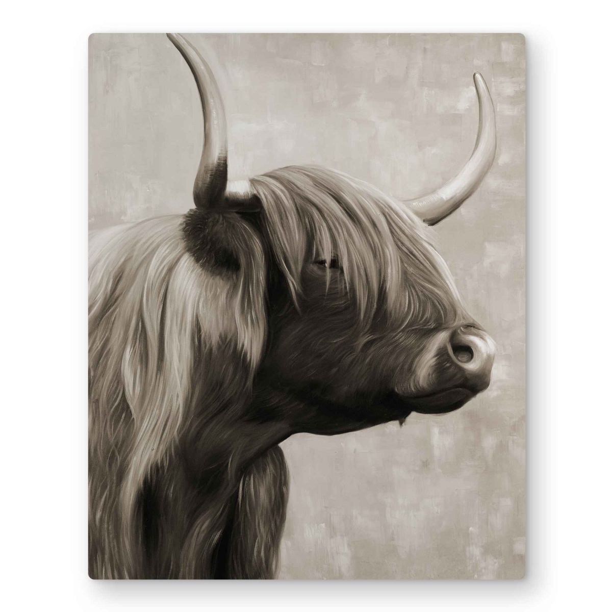 C1MP1620ULUZU9 16 x 20 in. Beautiful Highland Cattle Sepia Wall Art - Cow Animals Metal Print