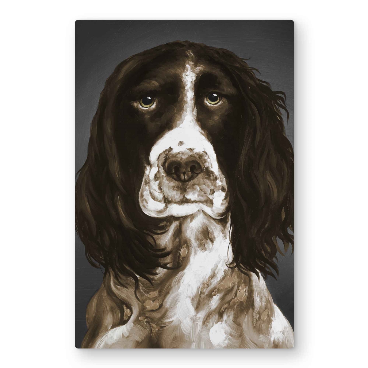 C1MP20301GJRTY 20 x 30 in. Brown English Springer Spaniel Metal Print Wall Art - Home Decor