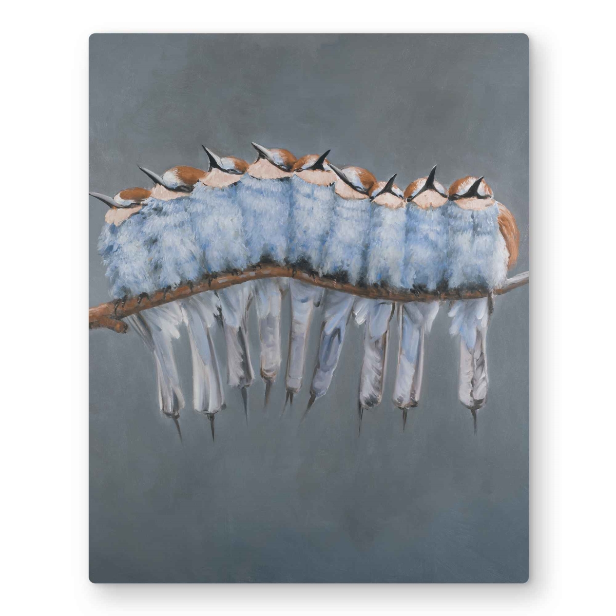 C1MP1620ZXN8C5 Bunch of Small Birds On A Branch Wall Art - Exotic Metal Print Decor - 16 x 20 in.