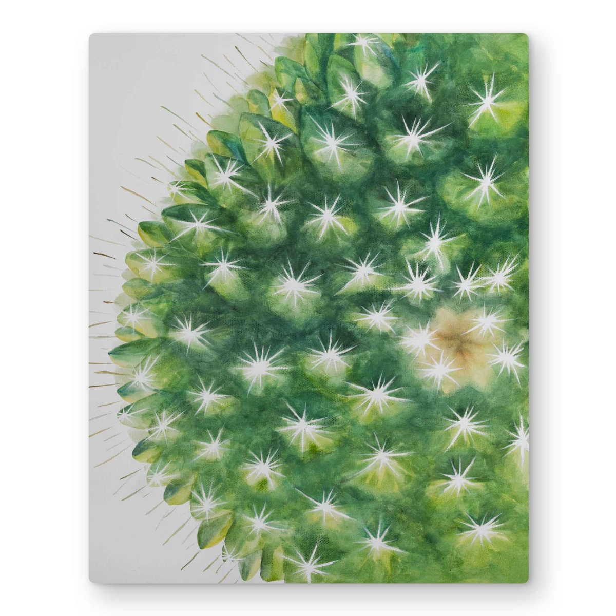 C1MP162006B2P7 16 x 20 in. Watercolor Mini Cactus Wall Art - Botanical Metal Print