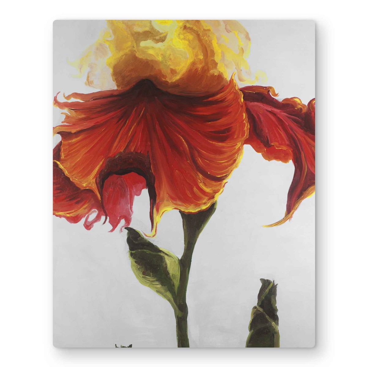 C1MP16200UCCLS 16 x 20 in. Blossoming Lily Flower - Red Metal Print Wall Art for Home Decor