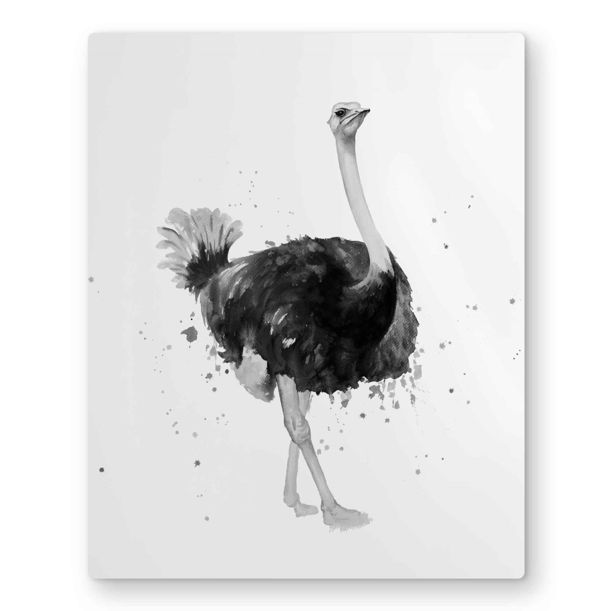 C1MP162071T7QL 16 x 20 in. Proud Ostrich - Exotic Metal Print Wall Art - Unique Art