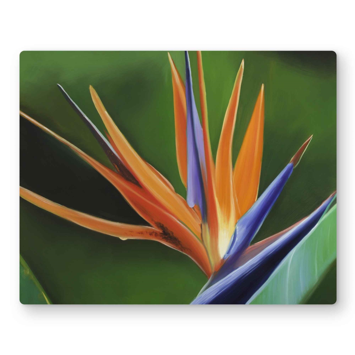 C1MP16207LBT53 16 x 20 in. Bird of Paradise Flower Wall Art - Botanical Orange Metal Print Decor