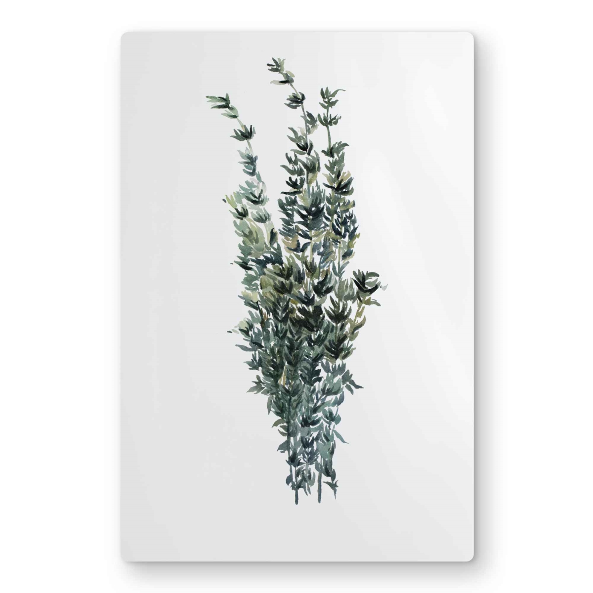 C1MP1218BB2M7H 12 x 18 in. Thyme Leaves Bundle - White Kitchen Metal Print Wall Art - Home Decor