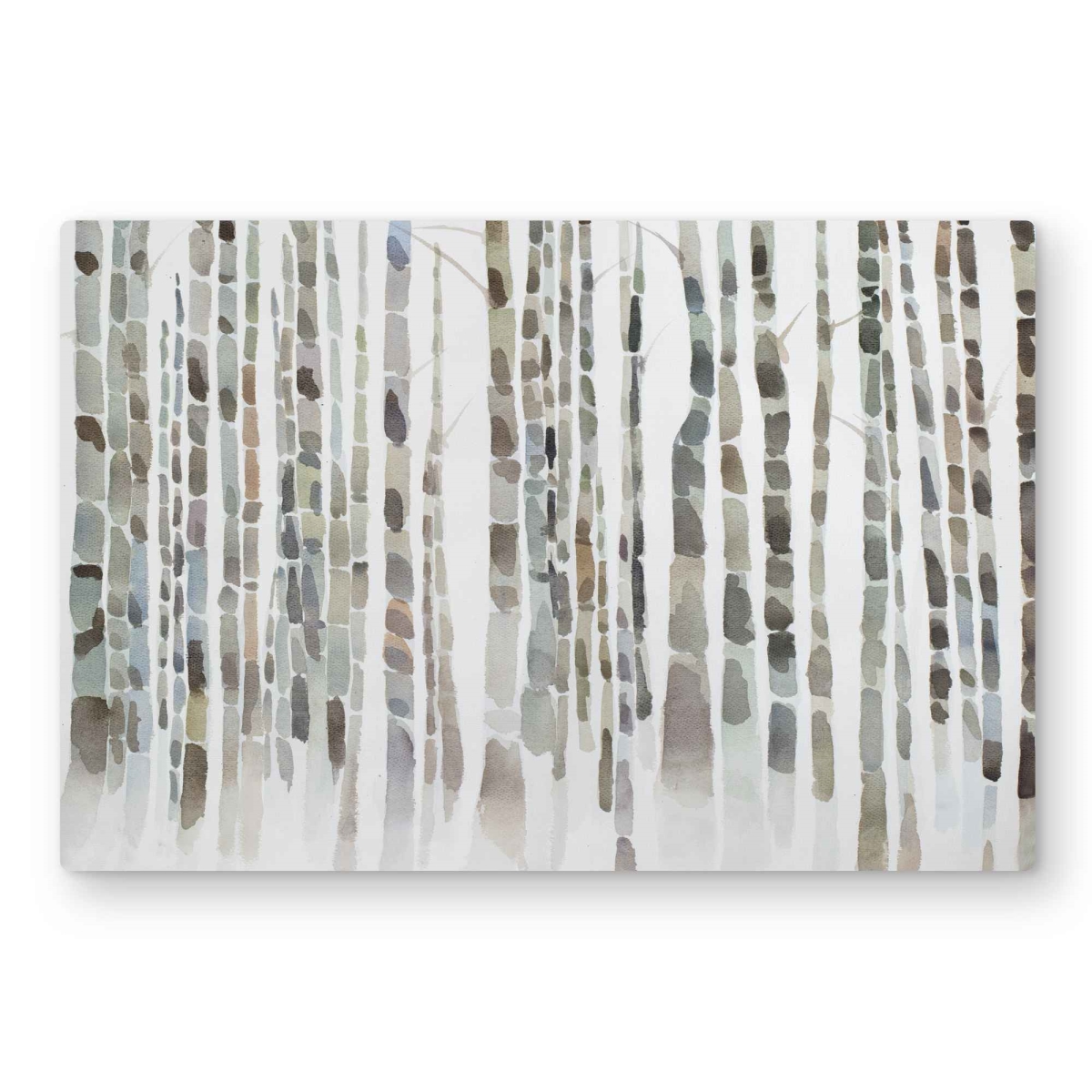 C1MP2030V64CO5 20 x 30 in. Birch Trees Forest Wall Art - Minimalist Landscapes Metal Print Decor