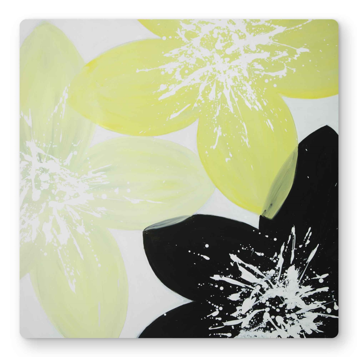 C1MP1616VQB1ES 16 x 16 in. Yellow Flowers with White Center Wall Art - Black Romantic Metal Print
