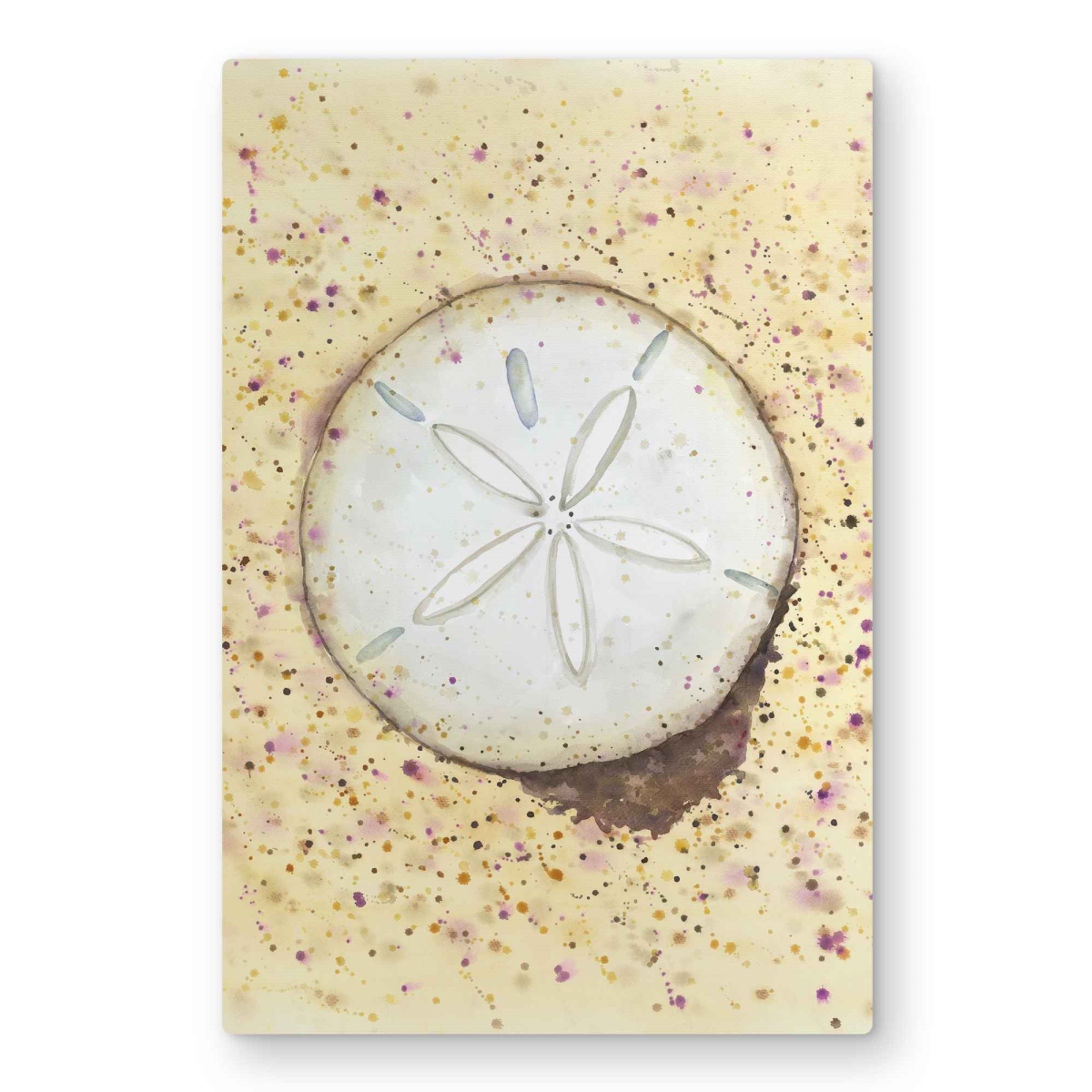 C1MP2030HXBUA5 20 x 30 in. Sand-Dollar Bathroom Beach Metal Print Wall Art - Home Decor Accent