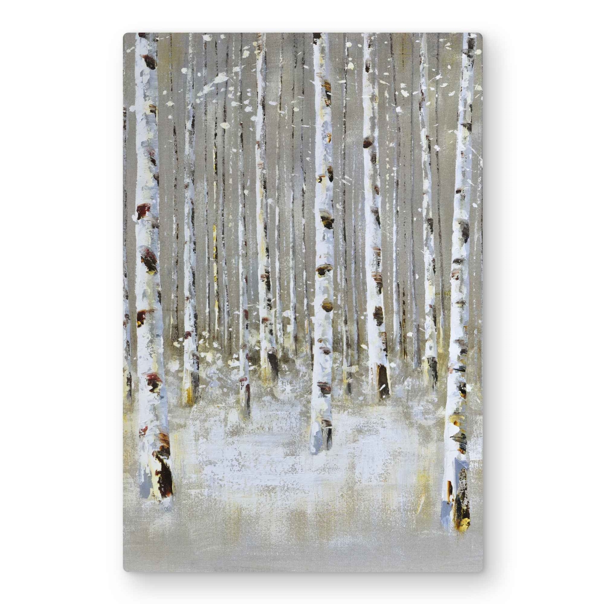 C1MP2030I08J97 20 x 30 in. Birch Forest by Winter - Metal Print Wall Art for Bedroom Decor