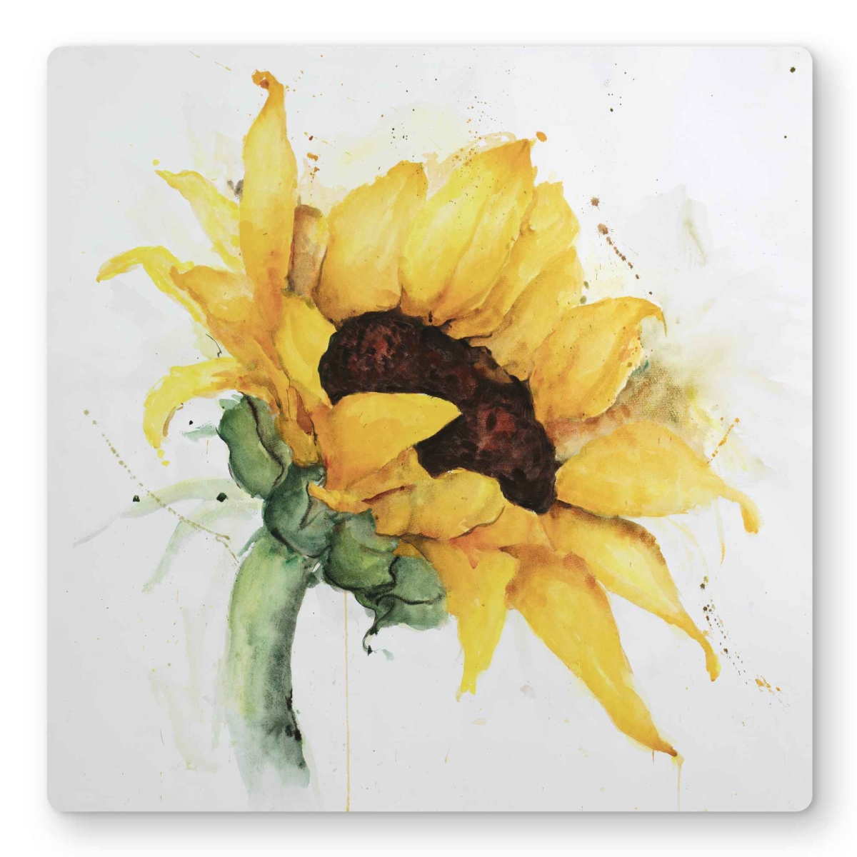 C1MP1616G5AZF3 16 x 16 in. Watercolor Sunflower with Paint Splash Wall Art - Yellow Flowers Metal Print