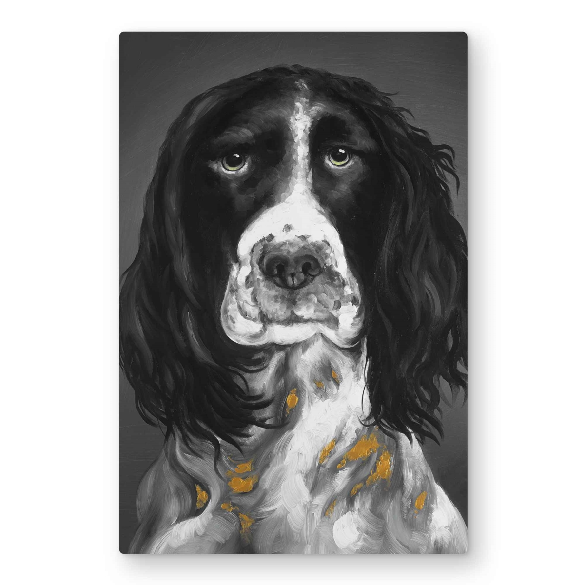 C1MP2030XOHSQ3 20 x 30 in. Beautiful English Springer Spaniel Wall Art - Contemporary Metal Print