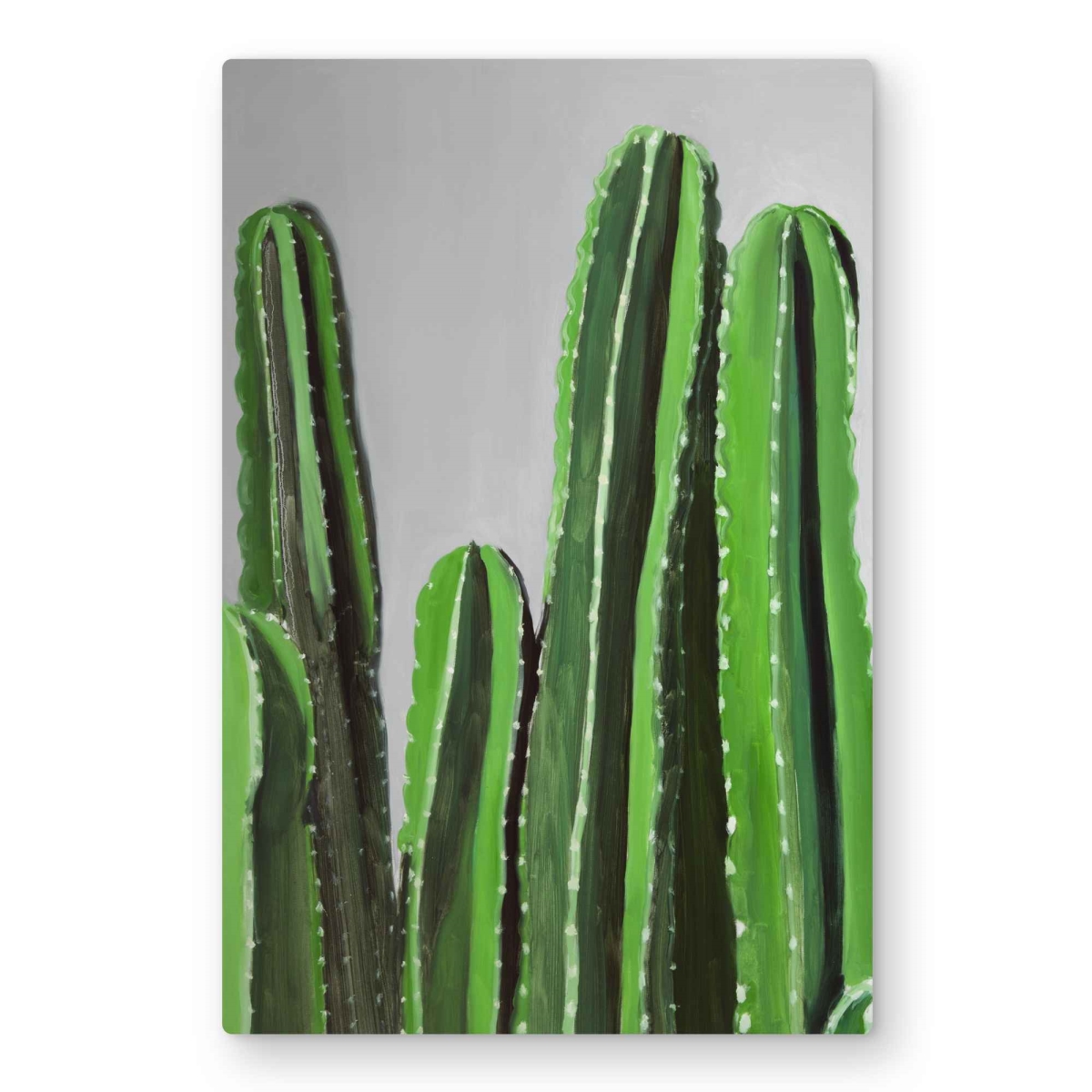 C1MP2030DZ1GFO 20 x 30 in. Cactus Candles - Exotic Floral Metal Print Wall Art for Home Decor