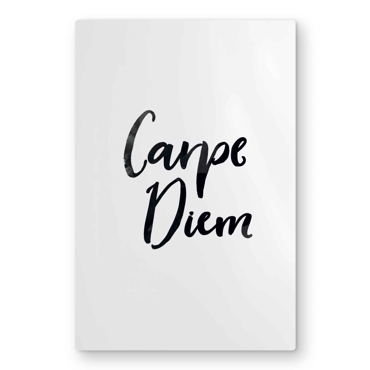 C1MP2030C3WCAC 20 x 30 in. Carpe Diem - Bedroom Minimalist Metal Print Wall Art - Home Decor