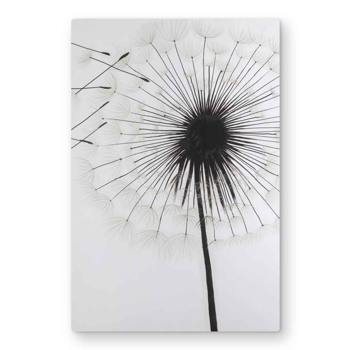 C1MP2030E165RH 20 x 30 in. Silhouette of Dandelion - Metal Print Wall Art for Living Room Decor