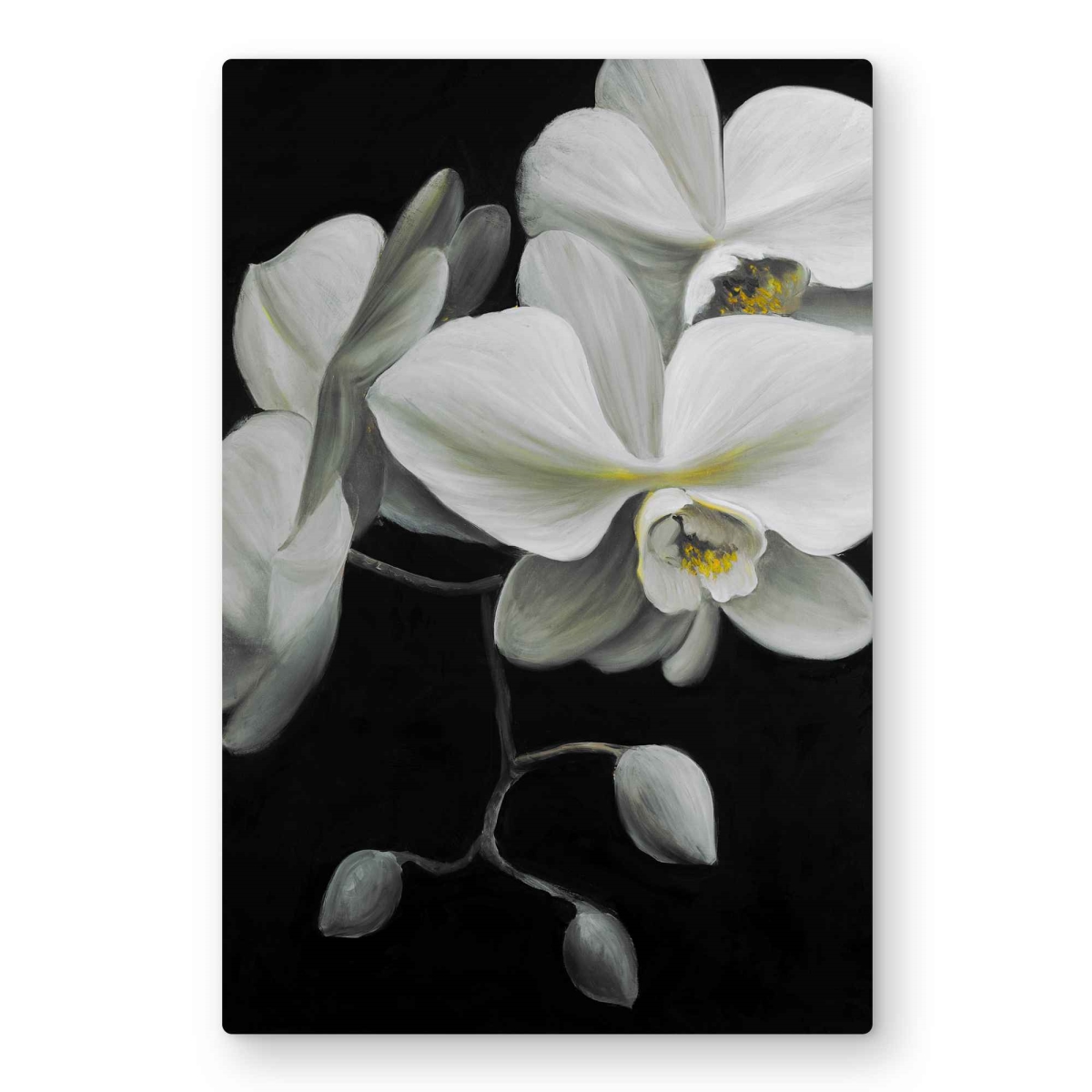 C1MP2030KGYMJ2 20 x 30 in. White Orchids Black Metal Print Wall Art - Floral Home Decor Art