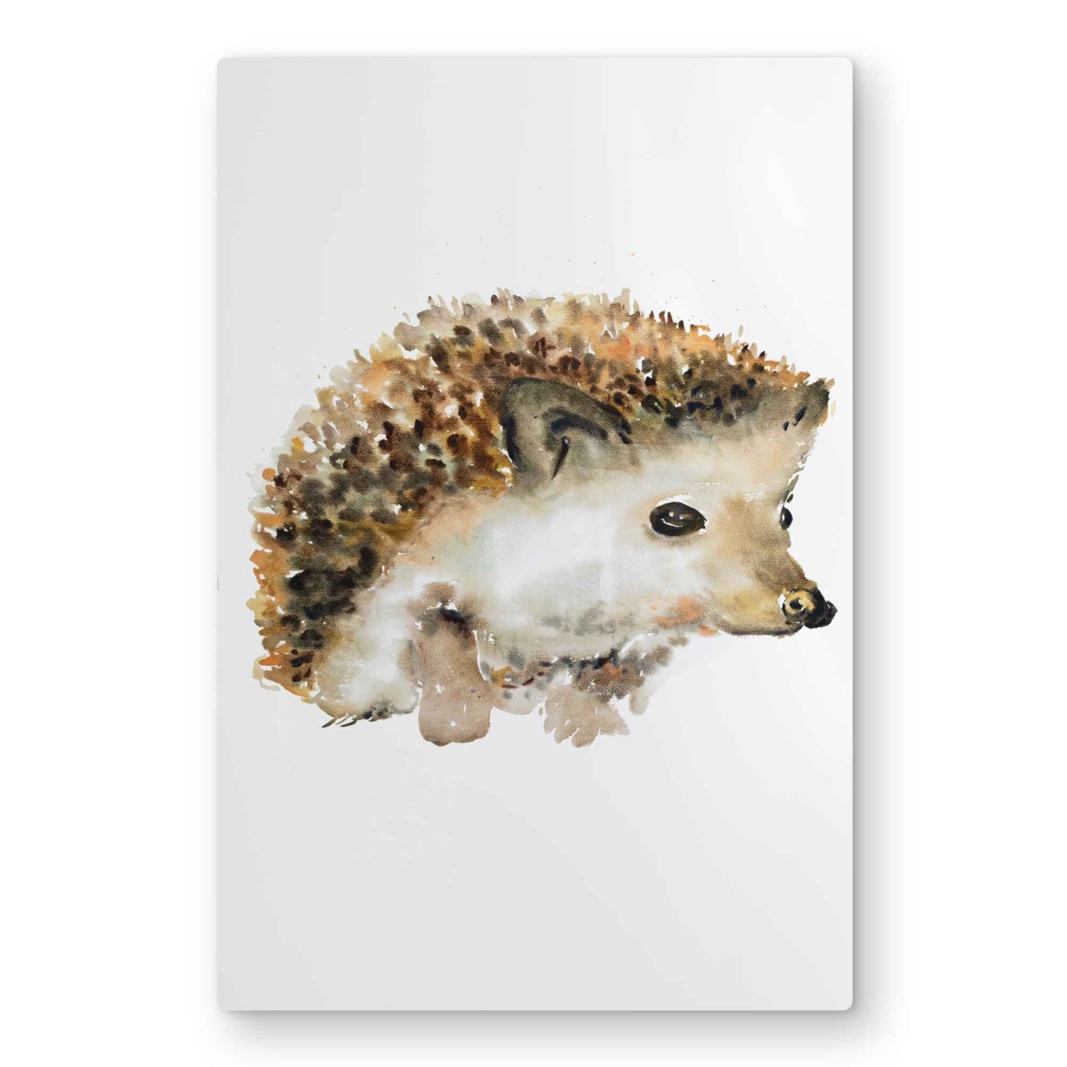 C1MP2030NQ41BN 20 x 30 in. Watercolor Hedgehog - Metal Print Wall Art for Home Decor - Pets Art