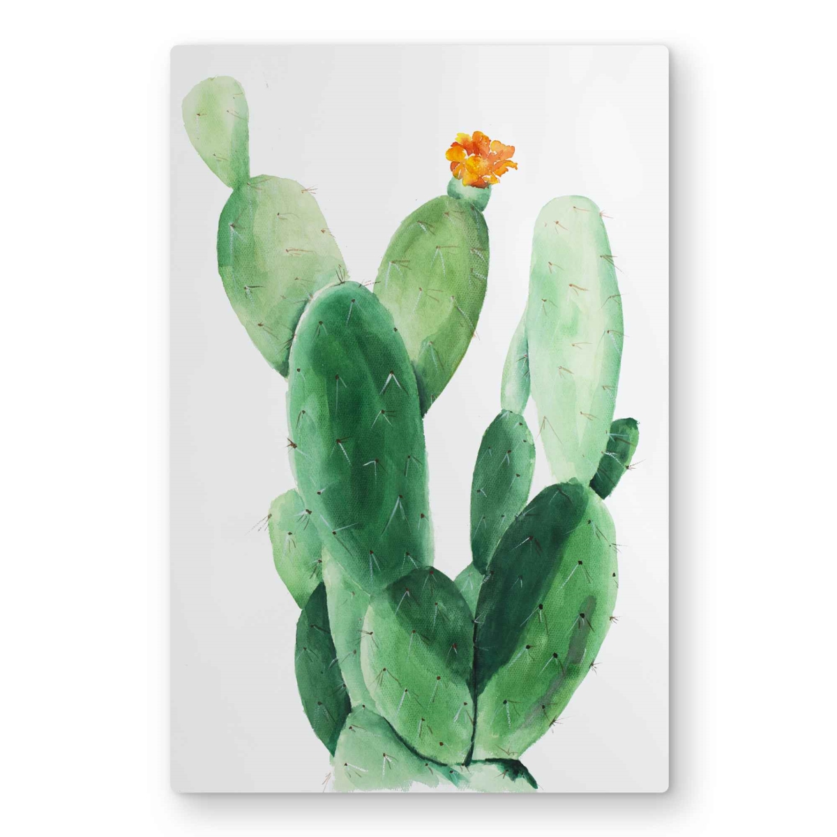 C1MP2030SA8ZPC 20 x 30 in. Watercolor Paddle Cactus with Flower Wall Art - Bedroom Metal Print
