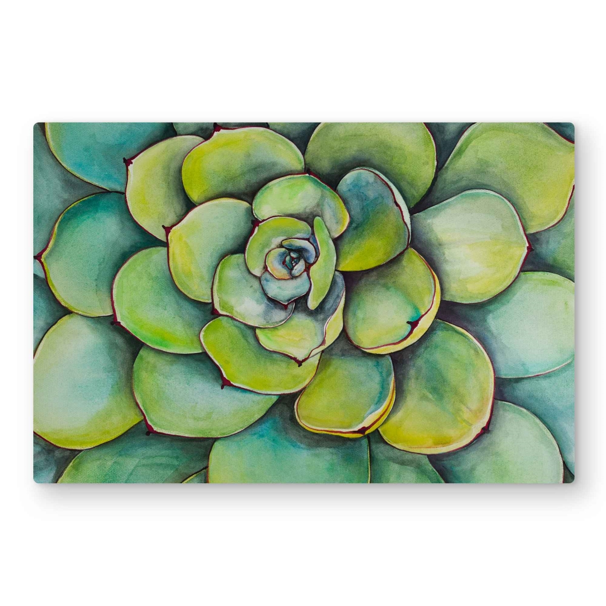 C1MP2030SEGEN3 20 x 30 in. Watercolor Succulent Plant - Metal Print Wall Art for Bathroom Decor