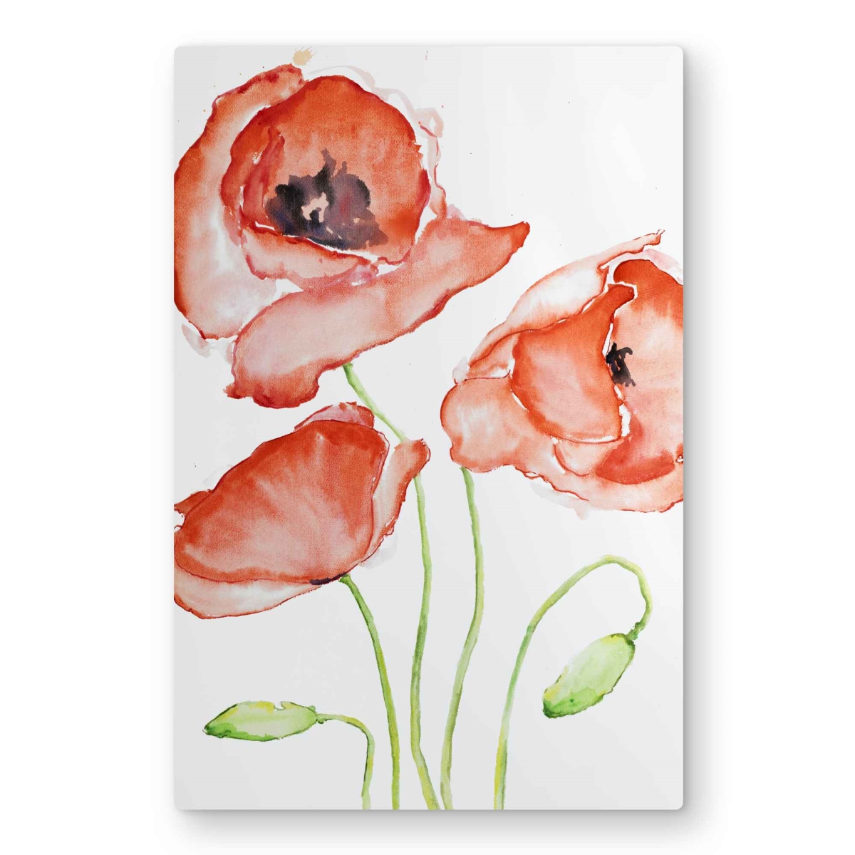 C1MP2030SI1VVT 20 x 30 in. Watercolor Poppies - Botanical Illustrative Metal Print Wall Art