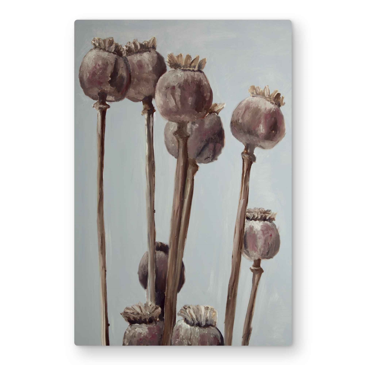 C1MP2030SLC3J0 20 x 30 in. Sepia Poppy Head Plants Wall Art - Brown Illustrative Metal Print