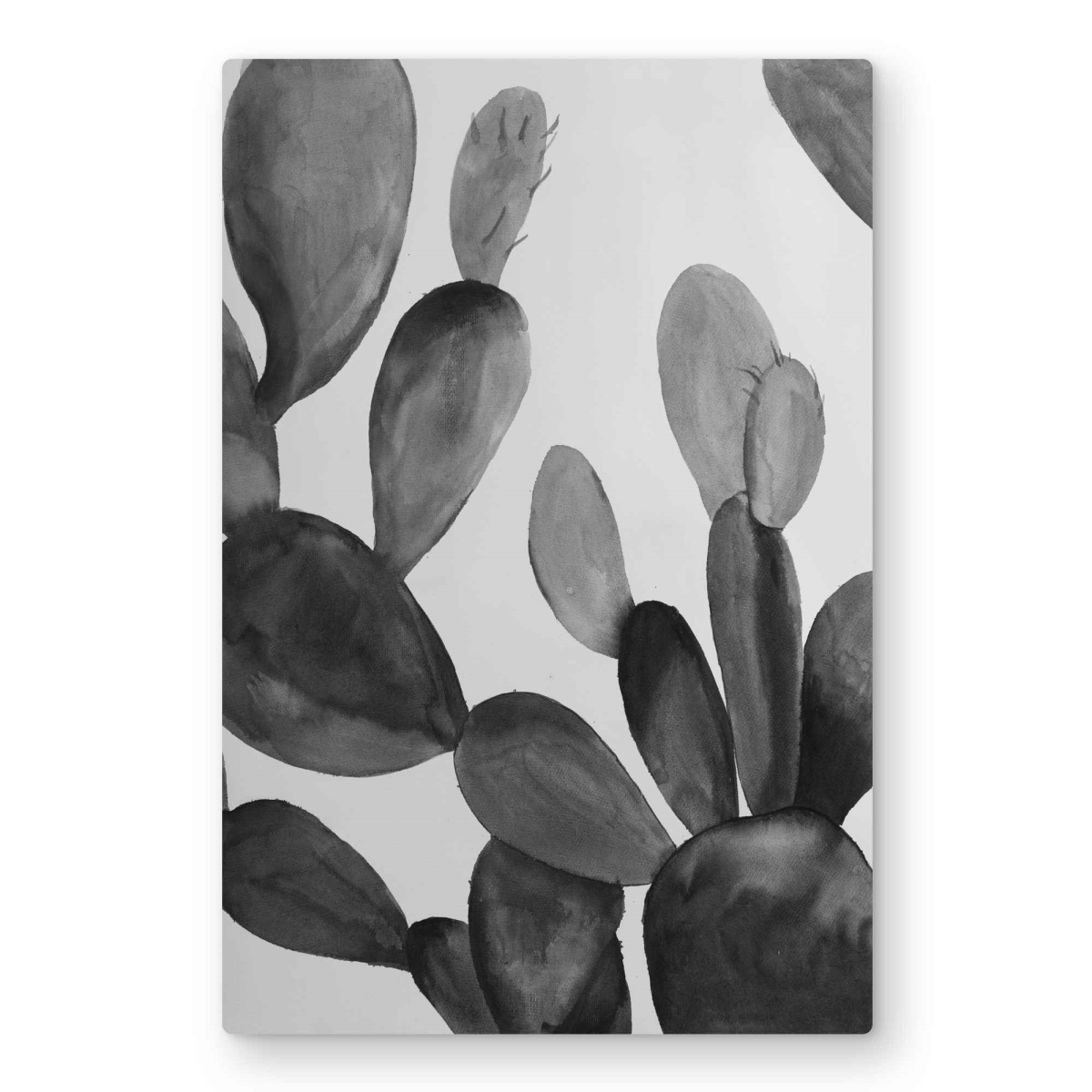 C1MP2030SUBMZ0 20 x 30 in. Grayscale Cactus - Office Floral Metal Print Wall Art for Home Decor
