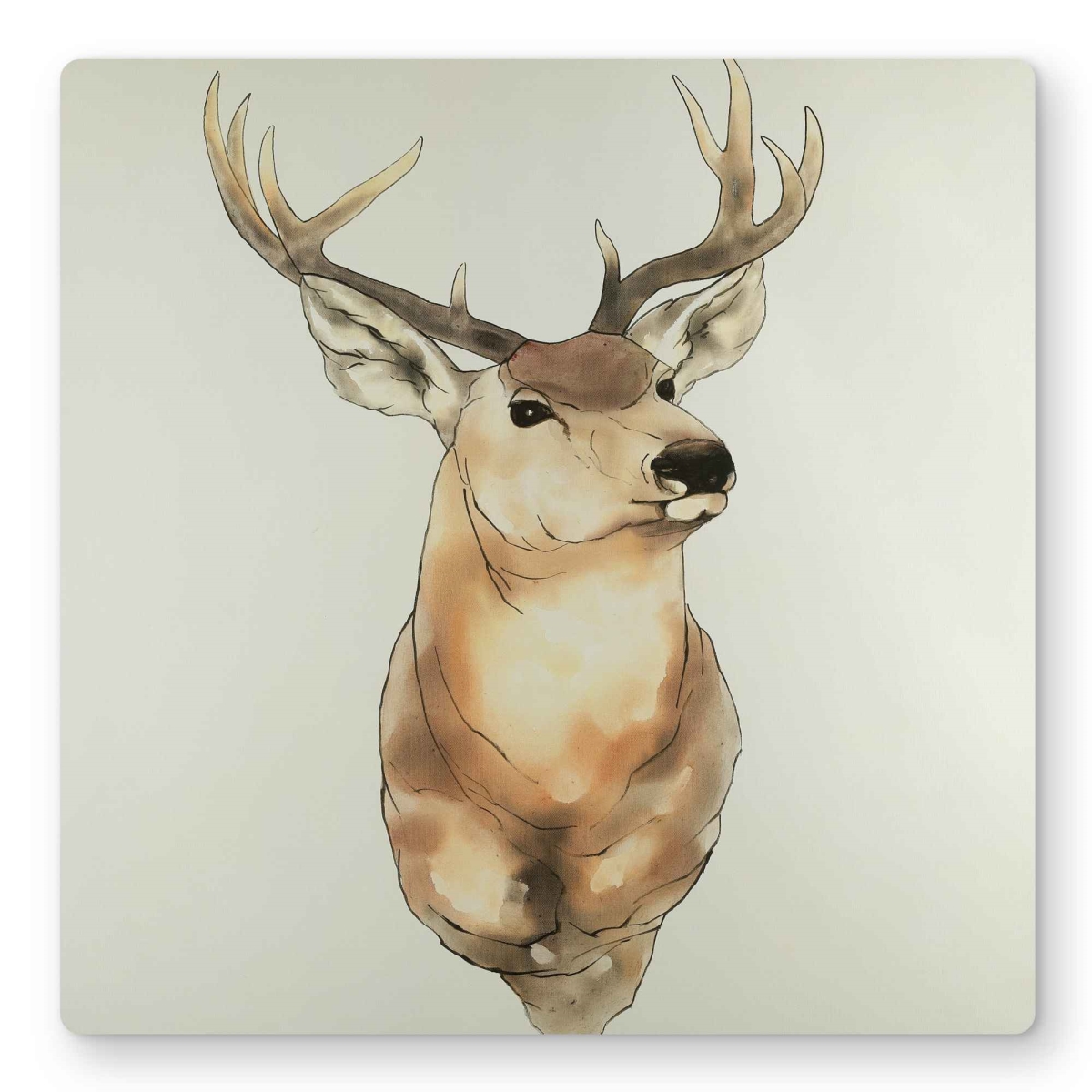 C1MP1616P3RJBC 16 x 16 in. Deer Portrait Metal Print Wall Art - Unique Decor for Animal Lovers
