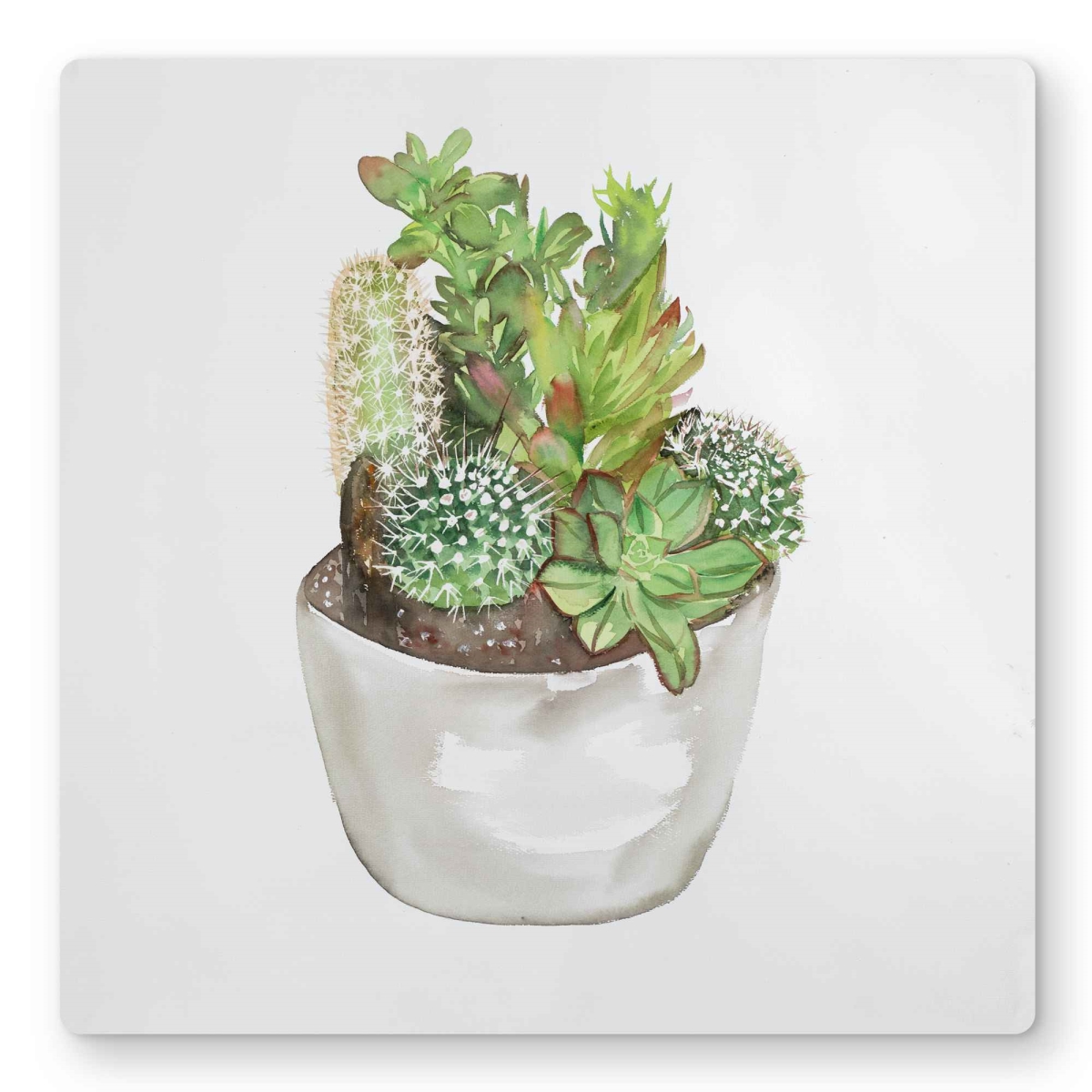 C1MP1616TMPBXU 16 x 16 in. Cactus Assortment In Pot Wall Art - Exotic Botanical Metal Print