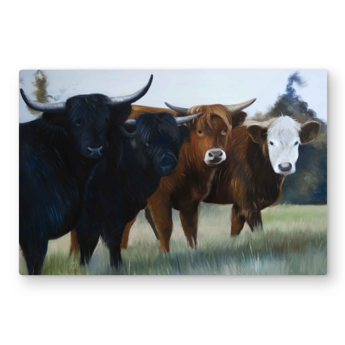 C1MP20300OUNQZ 20 x 30 in. Four Highland Cows Metal Print Wall Art - Western Animals Home Decor