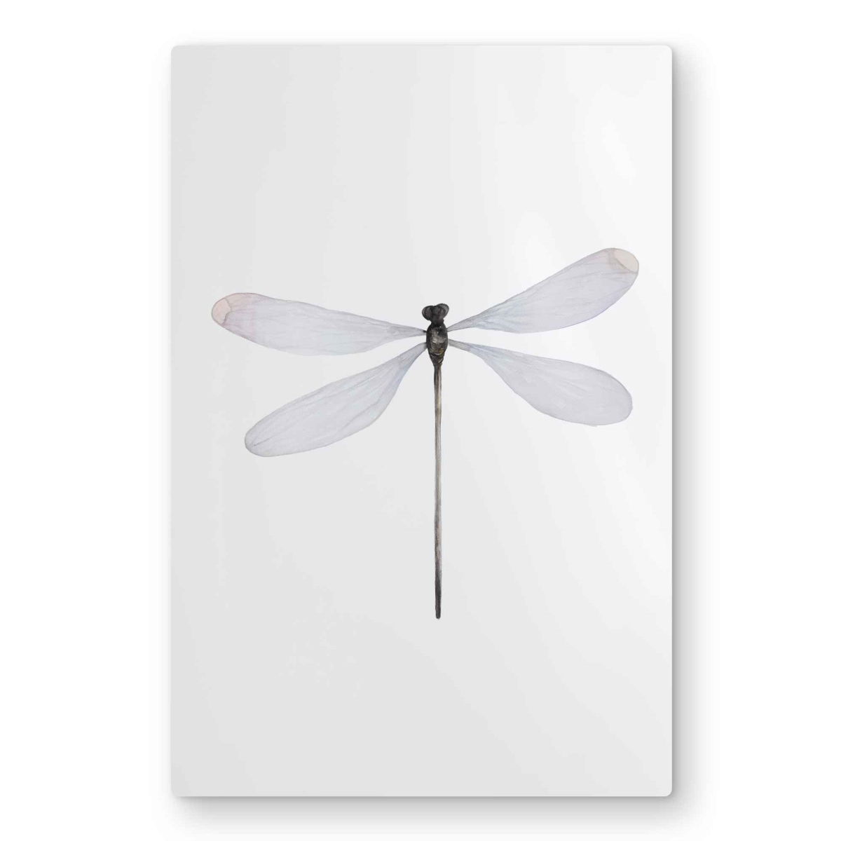 C1MP20304ITP8J 20 x 30 in. Minimalist Dragonfly - Gray Metal Print Wall Art for Home Decor