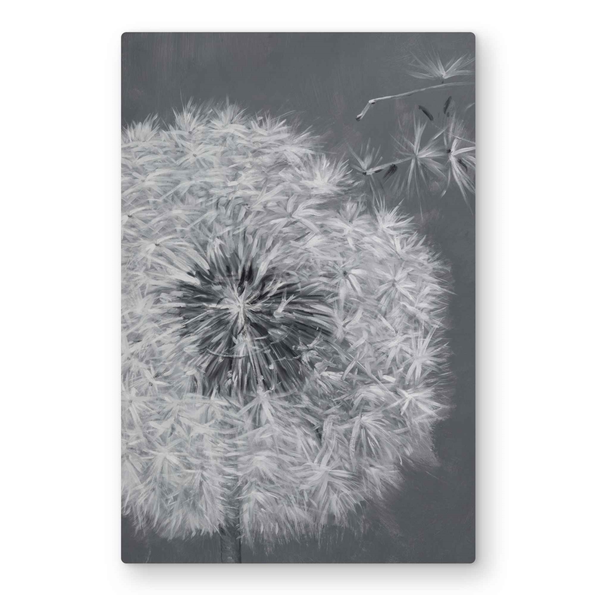 C1MP2030A3AYAZ 20 x 30 in. Blowing Dandelion - Romantic Gray Metal Print Wall Art for Home Decor