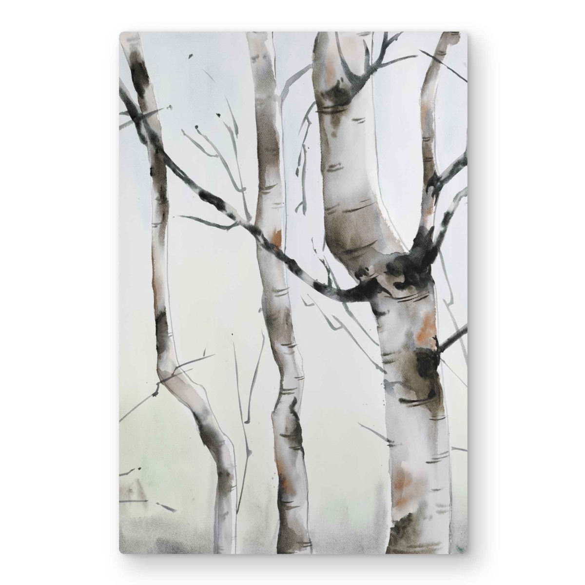 C1MP2030AG6P18 20 x 30 in. Three Birches Trees - Hygge Metal Print Wall Art for Home Decor