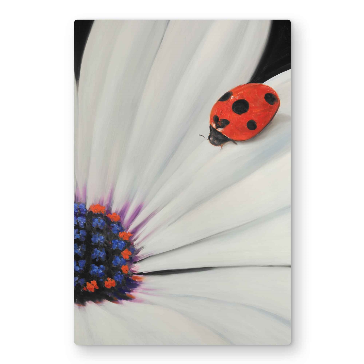 C1MP2030DDPEOB 20 x 30 in. White Daisy & Ladybug Metal Print Wall Art - Floral Bedroom Decor