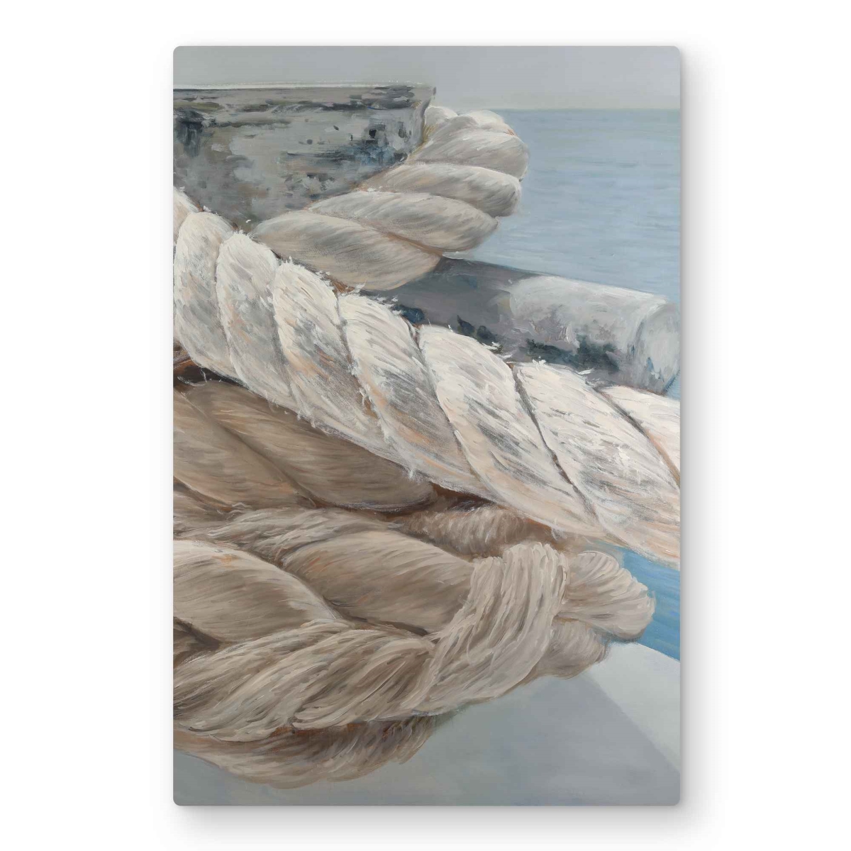 C1MP2030HLB75X 20 x 30 in. Tie-Down Ropes Closeup Wall Art - Still Life Bathroom Metal Print
