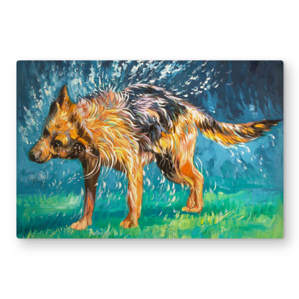 C1MP2030FO301D 20 x 30 in. Spin-Dry Wet German Shepherd Wall Art - Dog Livingroom Metal Print