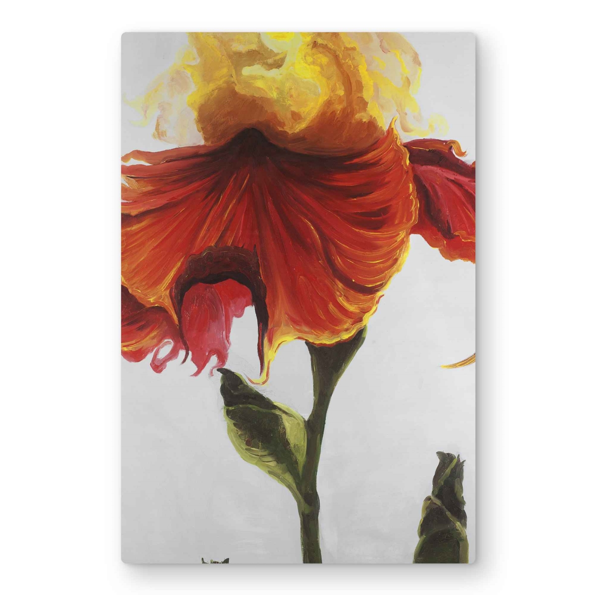 C1MP2030JTH6SM 20 x 30 in. Blossoming Lily Flower - White Metal Print Wall Art for Home Decor