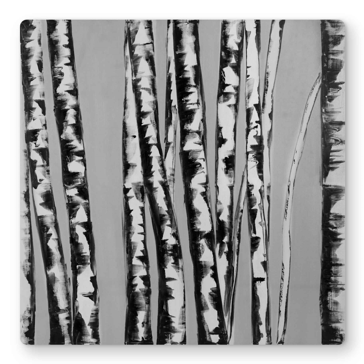 C1MP1616NPCKLE 16 x 16 in. Birches Intersecting Wall Art - Contemporary Bedroom Metal Print