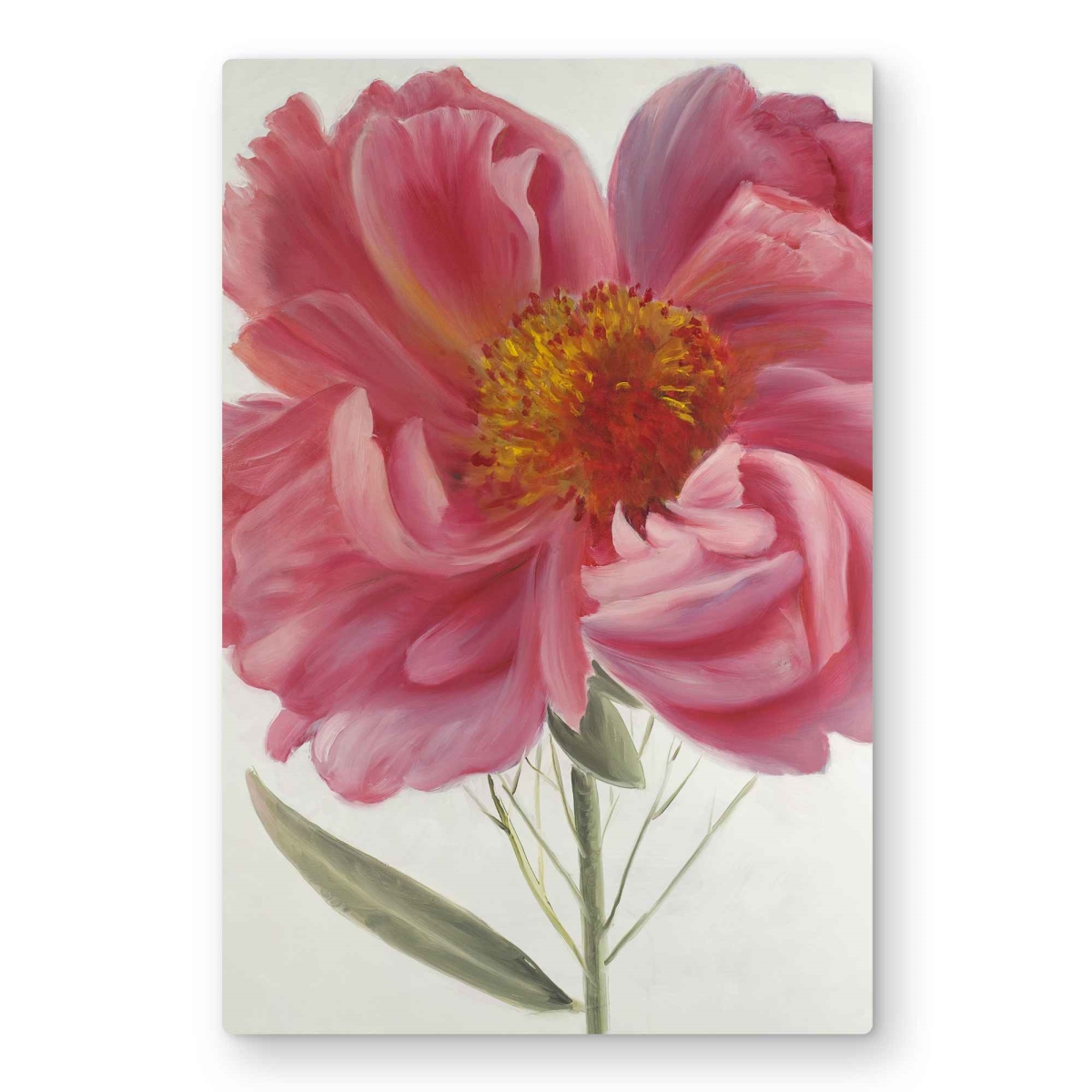 C1MP2030G2FXAG 20 x 30 in. Pink Peony Flower - Contemporary Floral Metal Print Wall Art for