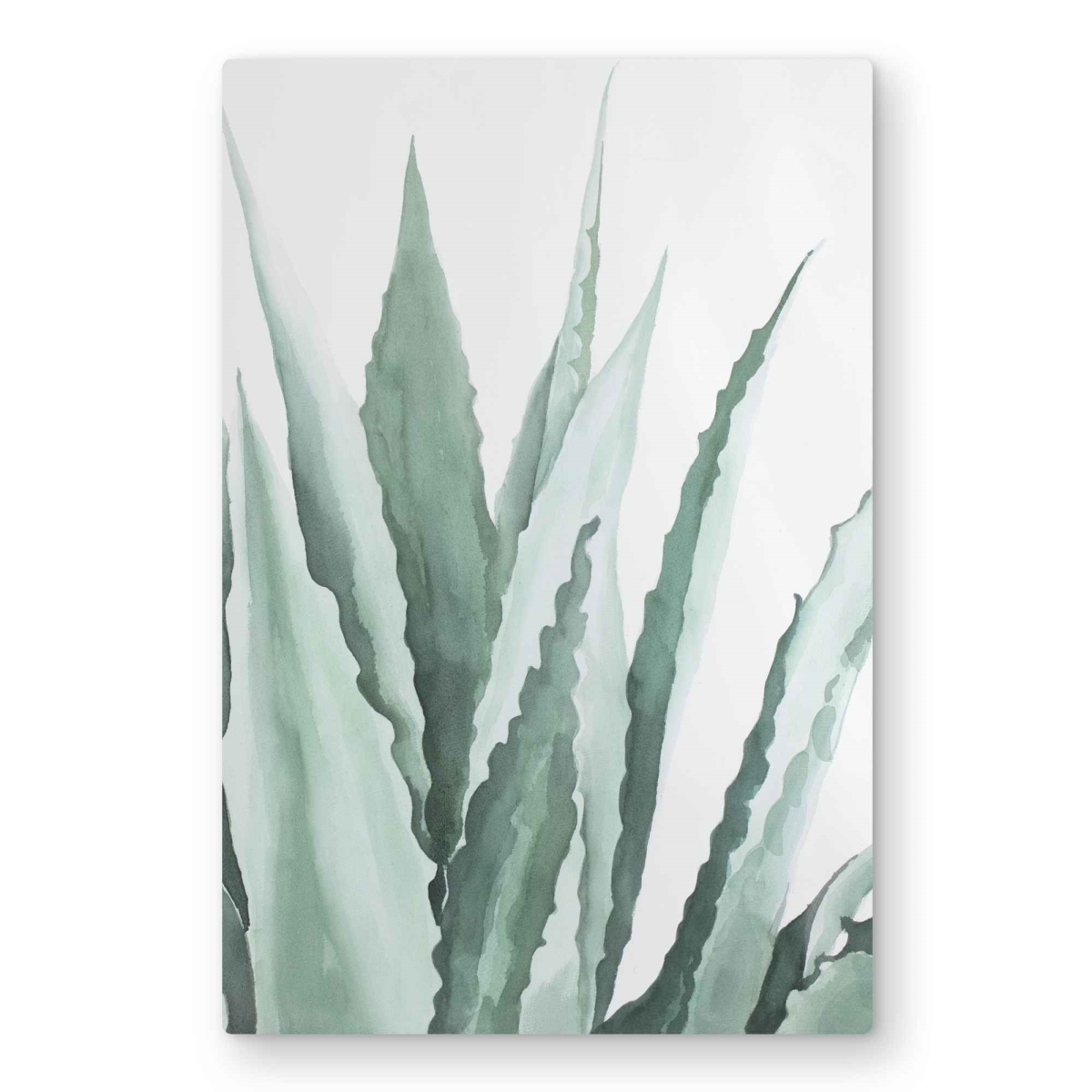 C1MP2030GIUBXJ 20 x 30 in. Watercolor Agave Plant - Metal Print Wall Art for Home Decor - Leaves