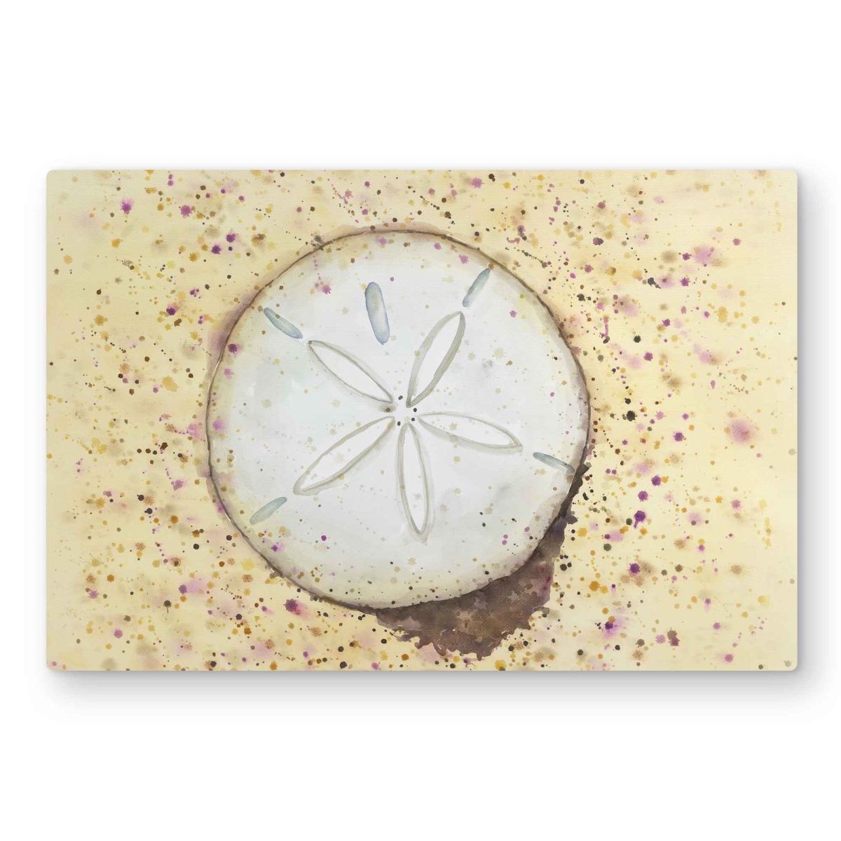 C1MP2030MUVBZ6 20 x 30 in. Sand-Dollar Beach Coastal Metal Print Wall Art - Home Decor Accent