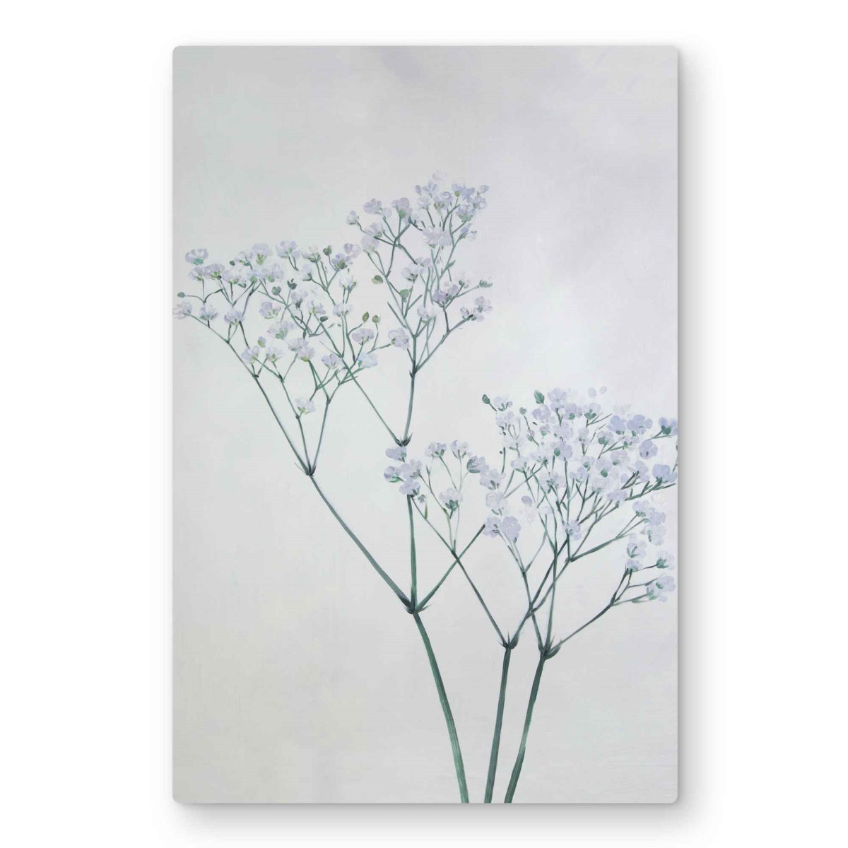 C1MP2030NCE10U 20 x 30 in. Baby-Breath Flowers Metal Print Wall Art - White Botanical Decor