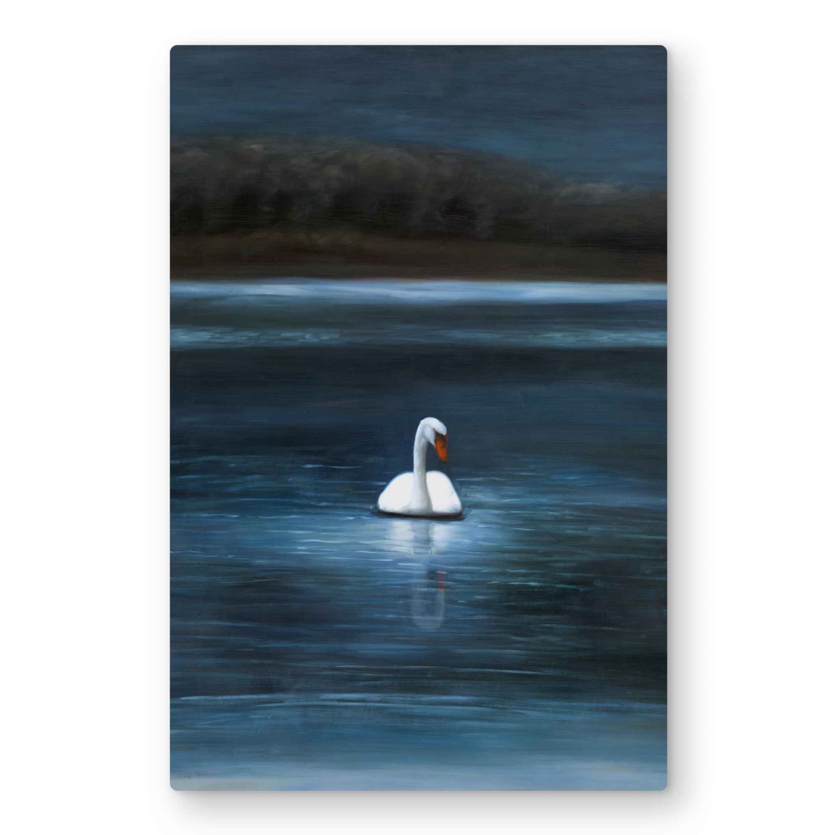 C1MP2030QVSPH3 20 x 30 in. Beautiful Swan - Classic Blue Animals Metal Print Wall Art for Home
