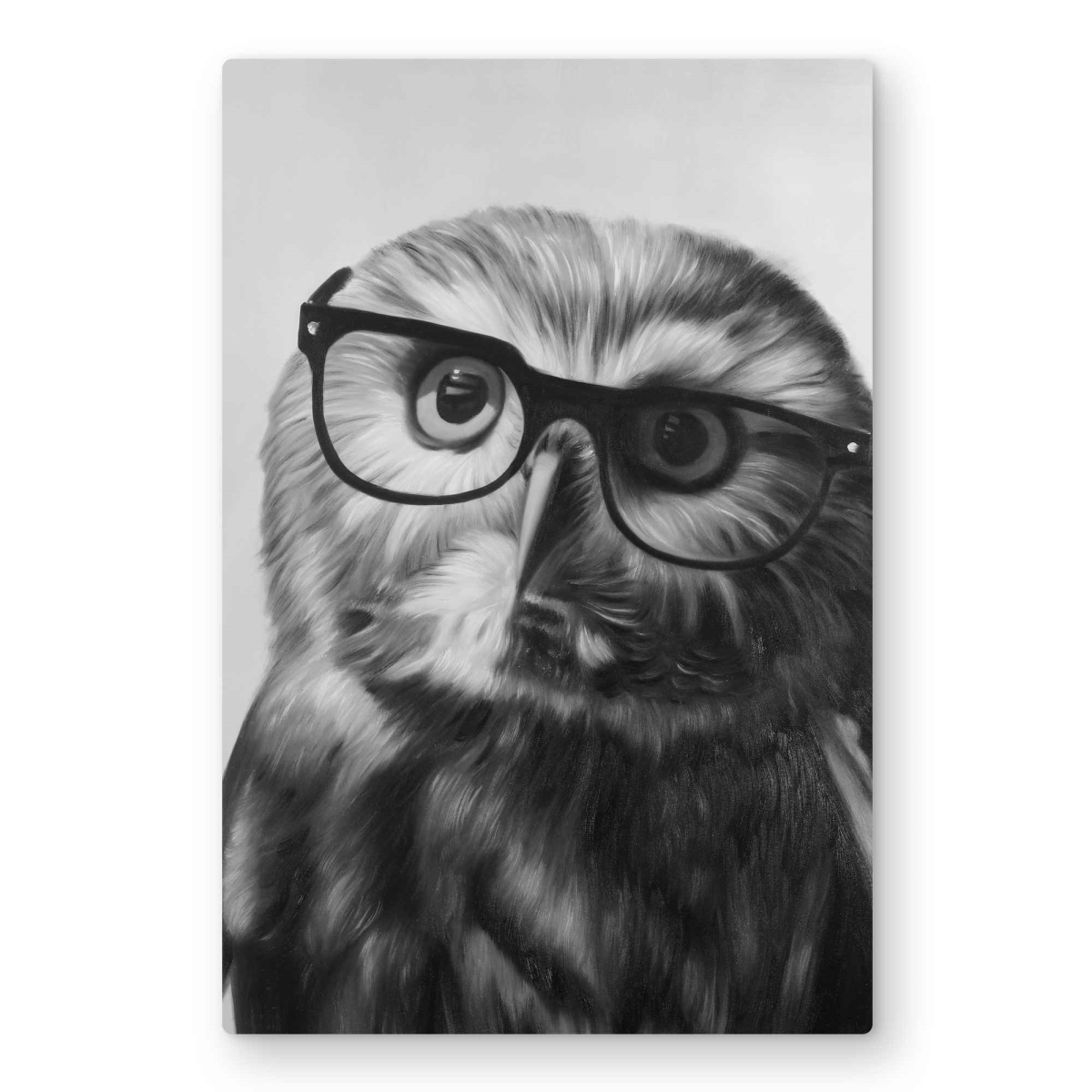 C1MP2030V45S1W 20 x 30 in. Northern Saw-Whet Owl with Glasses Wall Art - Monochrome Metal Print