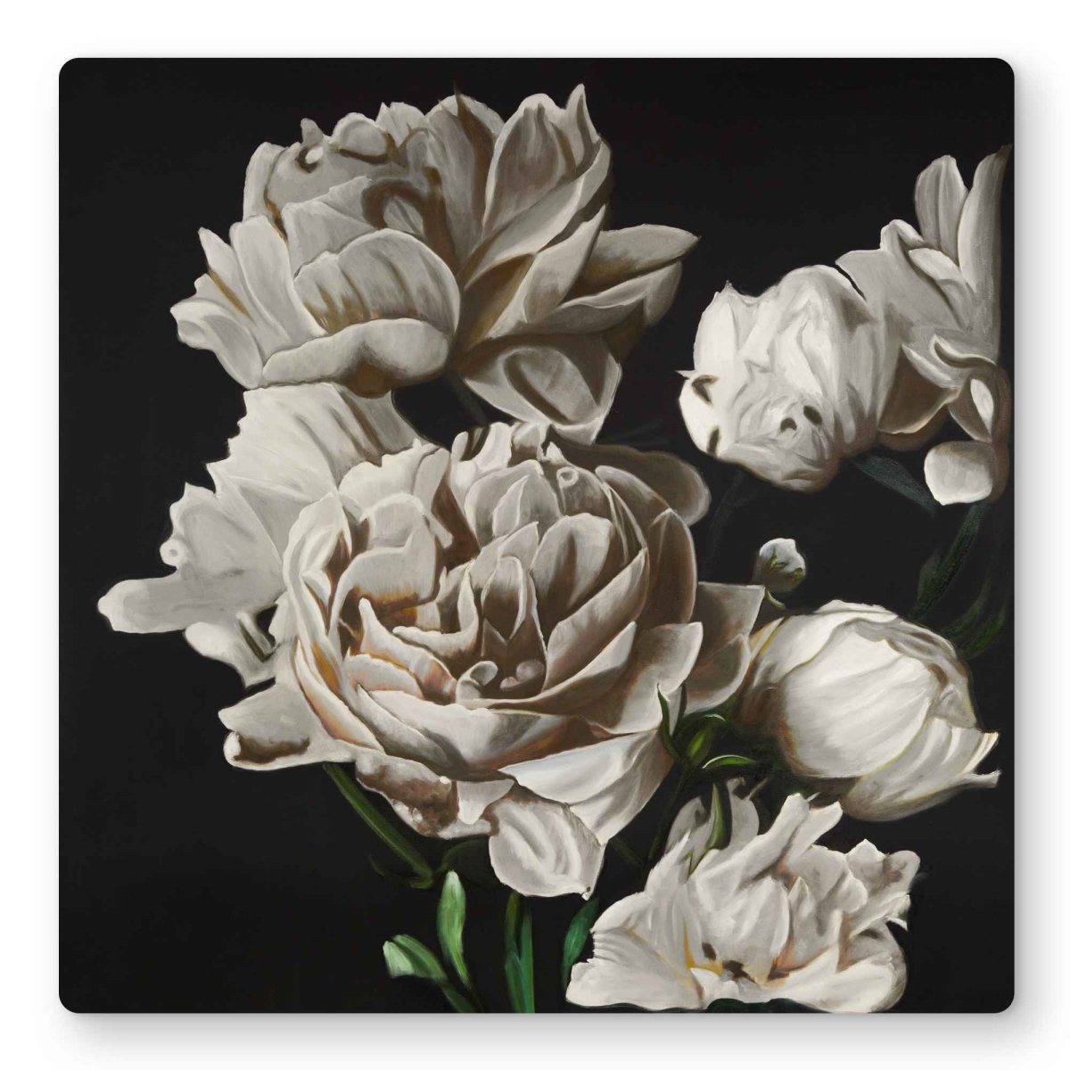 C1MP16168Q4L71 16 x 16 in. Beige Peonies Wall Art - Hyperrealist Floral Metal Print