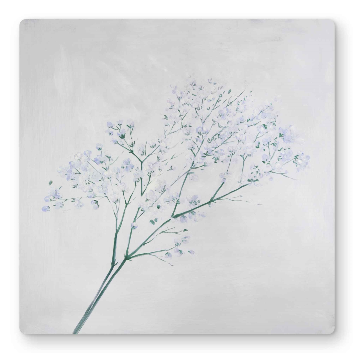 C1MP161609AR9A 16 x 16 in. Bouquet of Flowers Baby Breath Wall Art - White Bathroom Metal Print