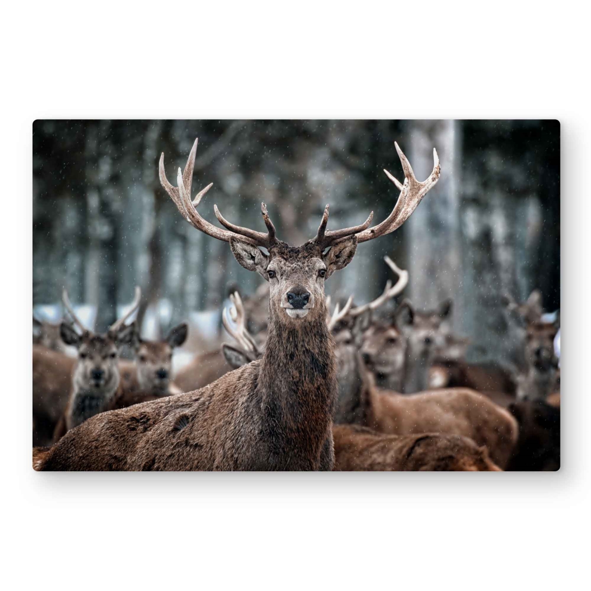 C1MP2030JI5AQS 20 x 30 in. Stags - Hygge Bedroom Metal Print Wall Art for Cozy Home Decor