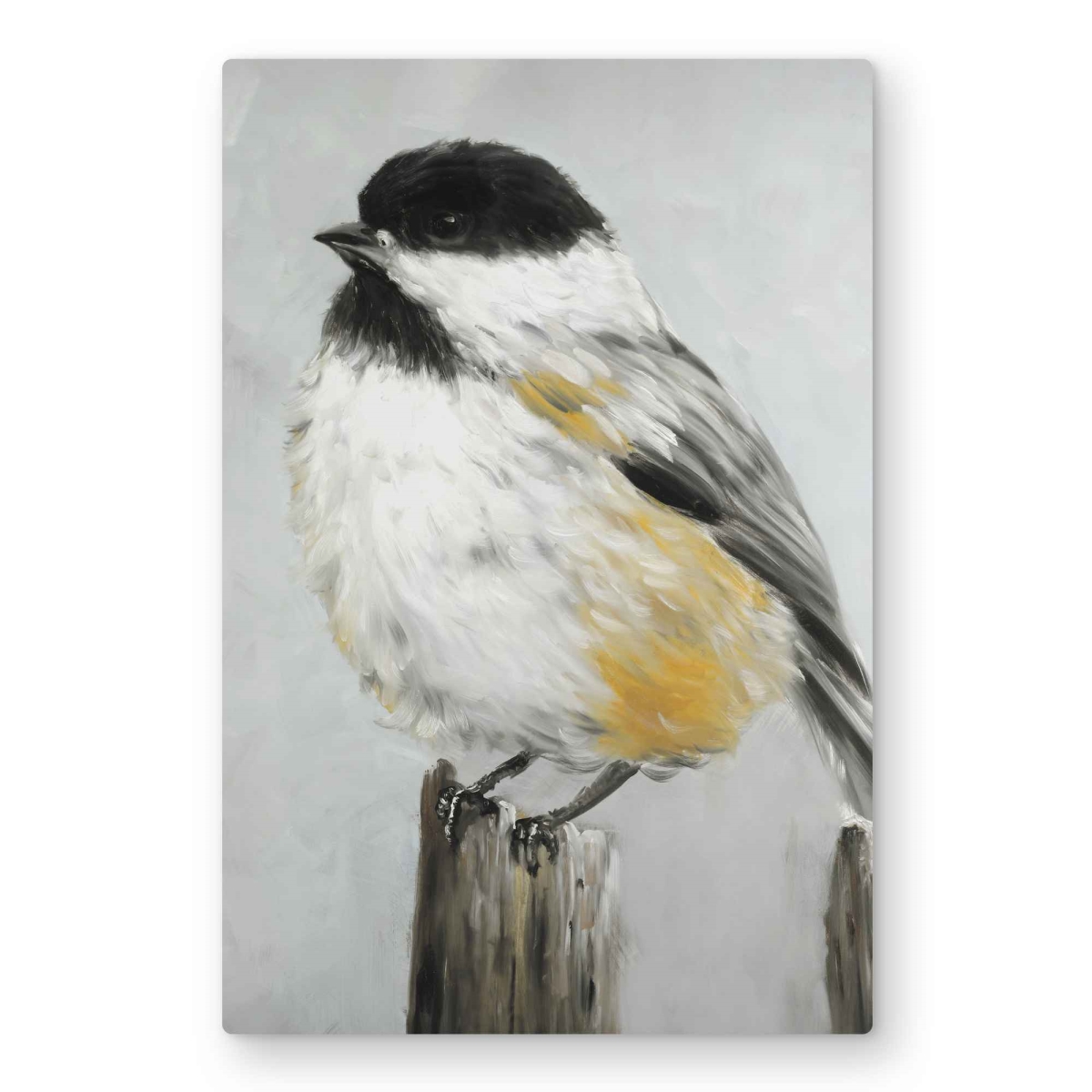 C1MP2030K2PHTS 20 x 30 in. Coal Tit Bird Metal Print - Decor Wall Art for Nature Lovers